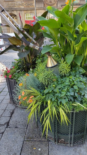 Durch einer Messing-Brause läuft Wasser in einen Blumenkübel in der Großen Straße in Osnabrück.