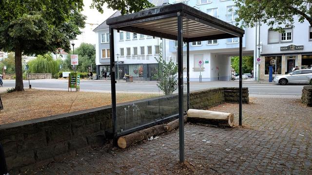 Das Bild zeigt eine ruhige Straßenecke im Hochsommer an einem sonnigen Tag.

Im Vordergrund steht ein Wetterschutz für wartende Menschen – eine überdachte Sitzgelegenheit mit schwarzem Metallrahmen, transparenten Glasscheiben und einem flachen Dach. Darin befindet sich eine Bank aus dicken Holzstämmen. Der Boden besteht aus grauem Kopfsteinpflaster mit einigen trockenen Blättern.

Hinter dem Pflaster verläuft eine niedrige Mauer aus dunkelgrauem Stein, die zum sanft ansteigenden Rasenhang führt…