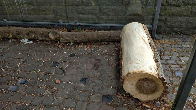 Das Bild zeigt einen Wetterschutz am Raiffeisenplatz in Osnabrück aus Bodennähe fotografiert. Der Boden besteht aus grauen, unregelmäßig verlegten Pflastersteinen mit Fugen. Über den gesamten Belag sind viele kleine Abfälle verstreut: Zigarettenstummel, trockene Blätter, Holzspäne und vereinzelte Papierfetzen.

Im Bildzentrum liegen zwei dicke Baumstämme als natürliche Sitzgelegenheit. Im rechten Vordergrund steht ein Stamm fast senkrecht, sein frisch geschnittenes Ende ist deutlich sichtbar – …